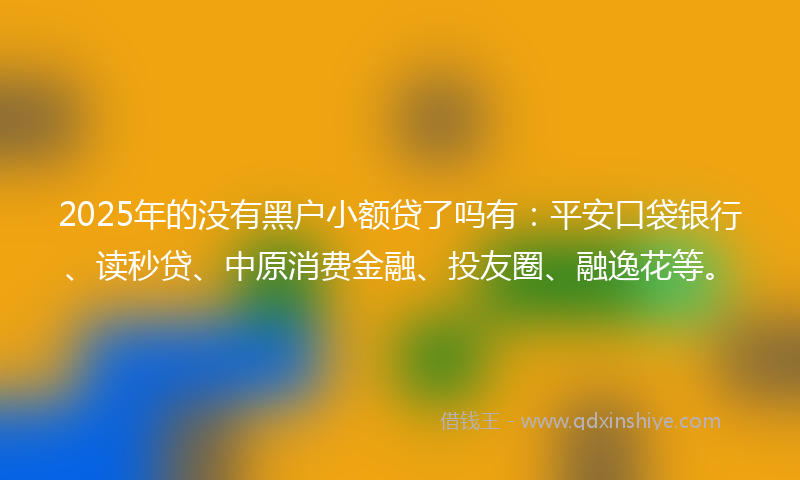 2025年的没有黑户小额贷了吗有：平安口袋银行、读秒贷、中原消费金融、投友圈、融逸花等。