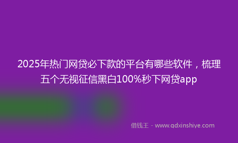 2025年热门网贷必下款的平台有哪些软件，梳理五个无视征信黑白100%秒下网贷app