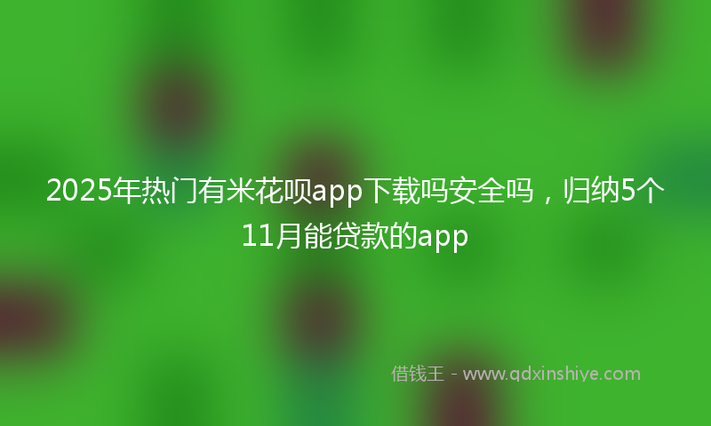 2025年热门有米花呗app下载吗安全吗，归纳5个11月能贷款的app