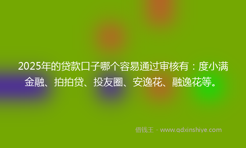 2025年的贷款口子哪个容易通过审核有：度小满金融、拍拍贷、投友圈、安逸花、融逸花等。