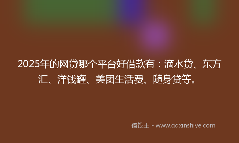 2025年的网贷哪个平台好借款有：滴水贷、东方汇、洋钱罐、美团生活费、随身贷等。