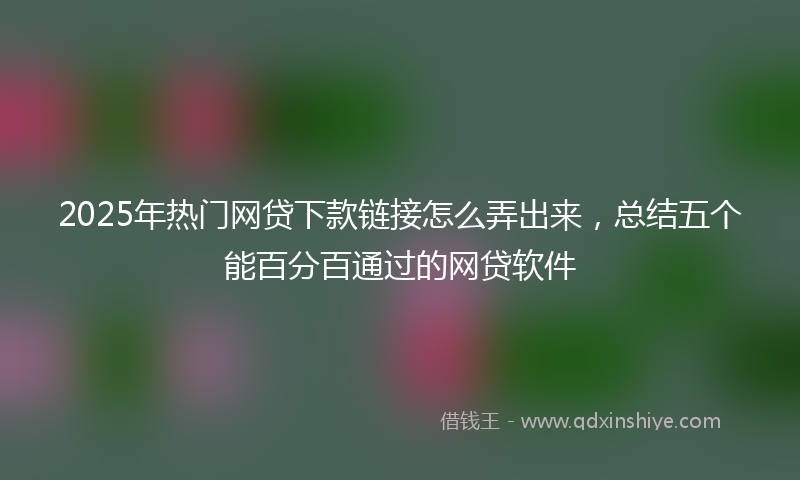 2025年热门网贷下款链接怎么弄出来，总结五个能百分百通过的网贷软件