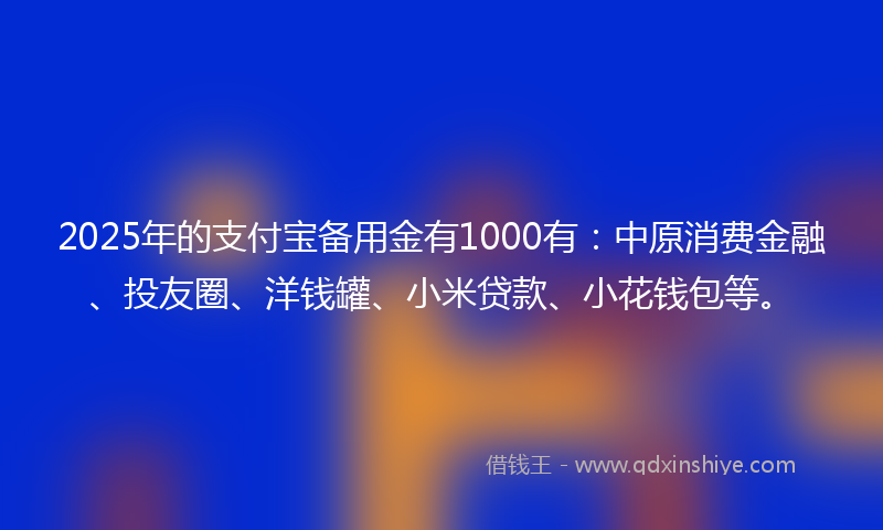 2025年的支付宝备用金有1000有：中原消费金融、投友圈、洋钱罐、小米贷款、小花钱包等。