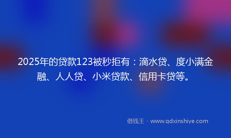 2025年的贷款123被秒拒有：滴水贷、度小满金融、人人贷、小米贷款、信用卡贷等。