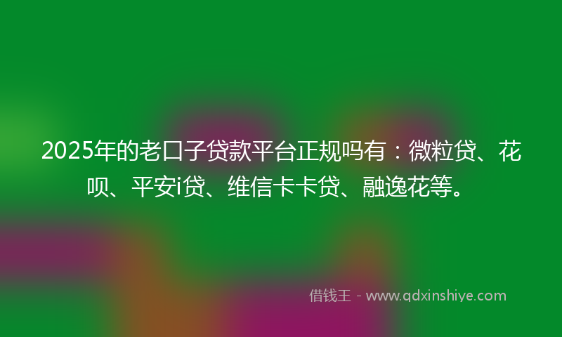 2025年的老口子贷款平台正规吗有：微粒贷、花呗、平安i贷、维信卡卡贷、融逸花等。