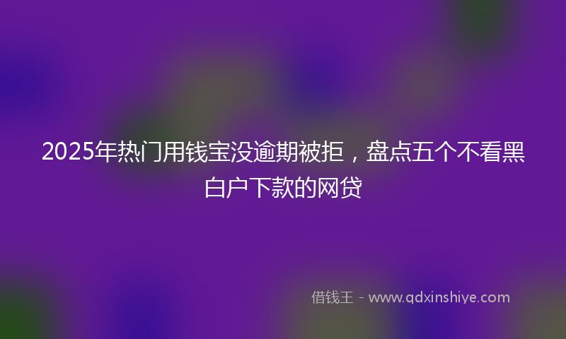 2025年热门用钱宝没逾期被拒，盘点五个不看黑白户下款的网贷