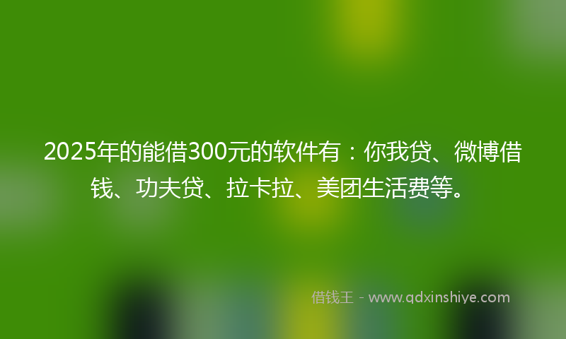2025年的能借300元的软件有：你我贷、微博借钱、功夫贷、拉卡拉、美团生活费等。