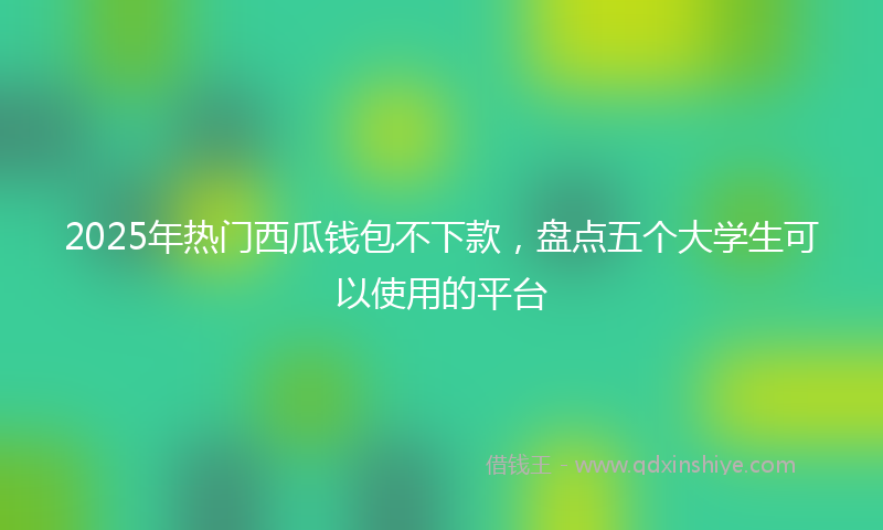 2025年热门西瓜钱包不下款，盘点五个大学生可以使用的平台
