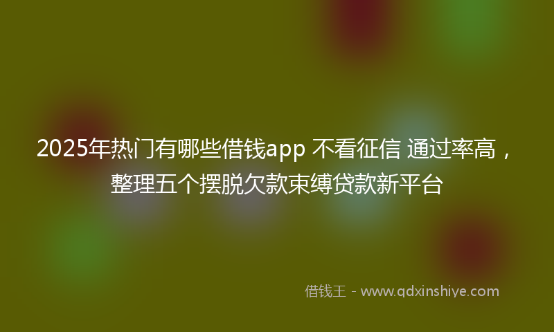 2025年热门有哪些借钱app 不看征信 通过率高，整理五个摆脱欠款束缚贷款新平台
