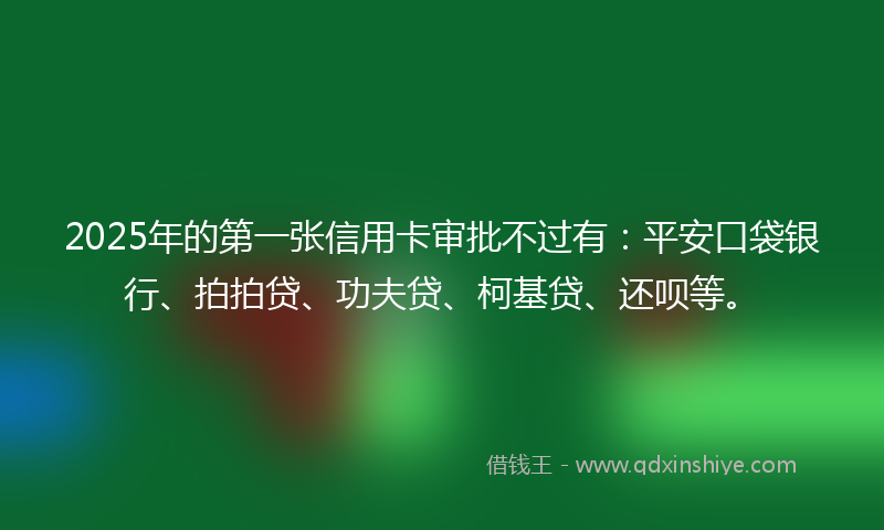 2025年的第一张信用卡审批不过有：平安口袋银行、拍拍贷、功夫贷、柯基贷、还呗等。