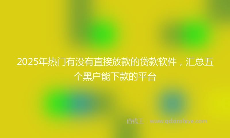 2025年热门有没有直接放款的贷款软件，汇总五个黑户能下款的平台