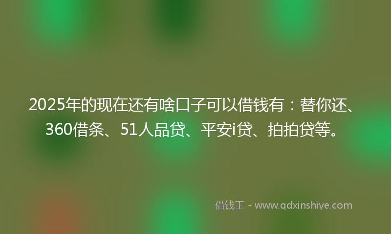 2025年的现在还有啥口子可以借钱有：替你还、360借条、51人品贷、平安i贷、拍拍贷等。