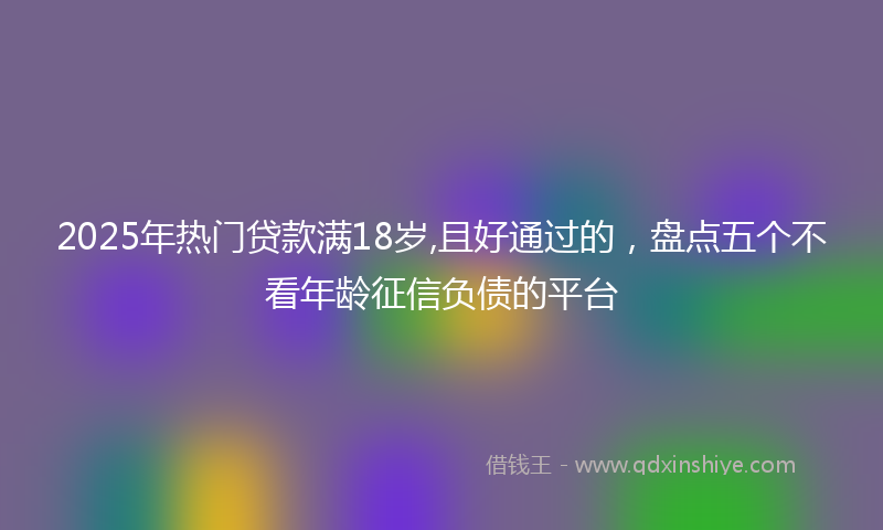 2025年热门贷款满18岁,且好通过的，盘点五个不看年龄征信负债的平台