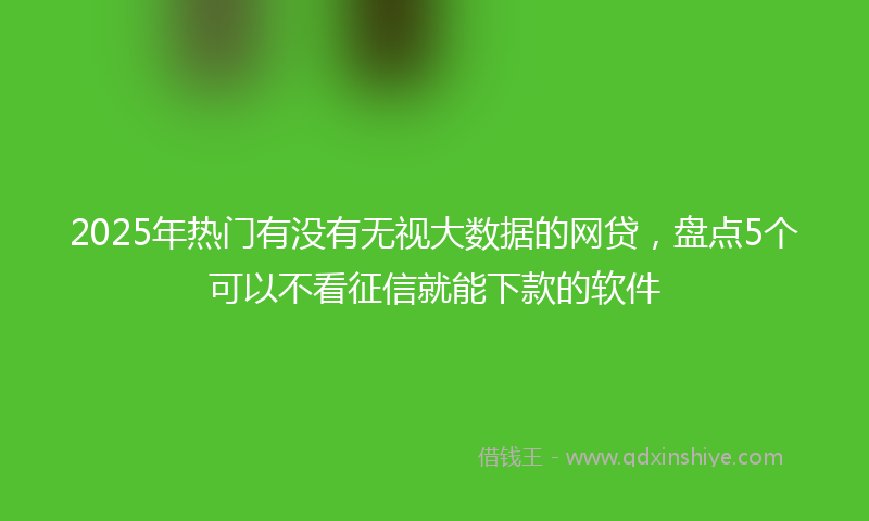 2025年热门有没有无视大数据的网贷，盘点5个可以不看征信就能下款的软件