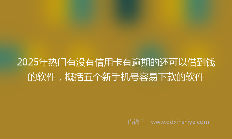 2025年热门有没有信用卡有逾期的还可以借到钱的软件，概括五个新手机号容易下款的软件