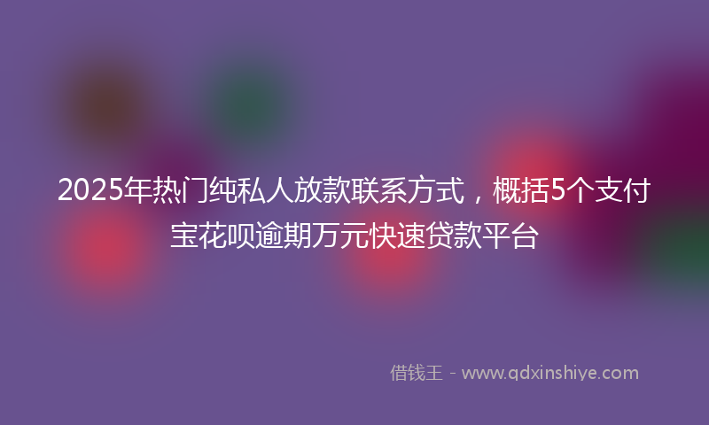 2025年热门纯私人放款联系方式，概括5个支付宝花呗逾期万元快速贷款平台