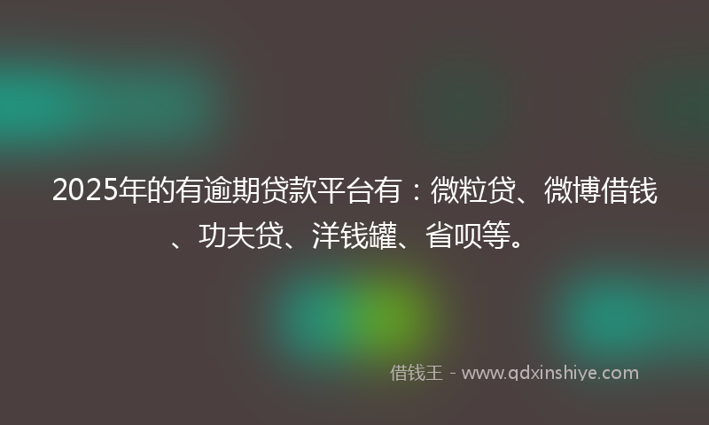 2025年的有逾期贷款平台有：微粒贷、微博借钱、功夫贷、洋钱罐、省呗等。