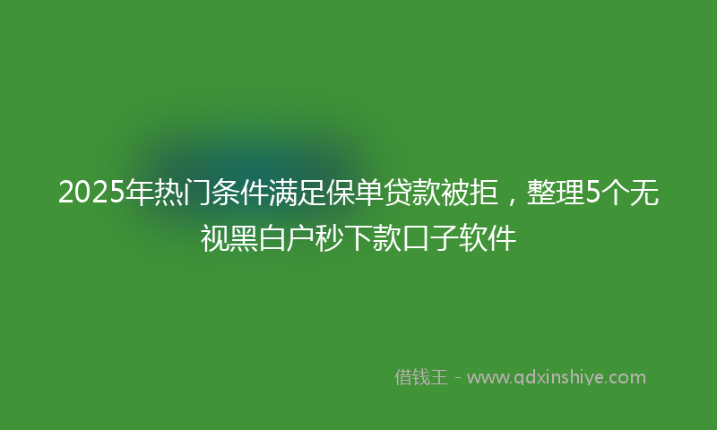 2025年热门条件满足保单贷款被拒，整理5个无视黑白户秒下款口子软件