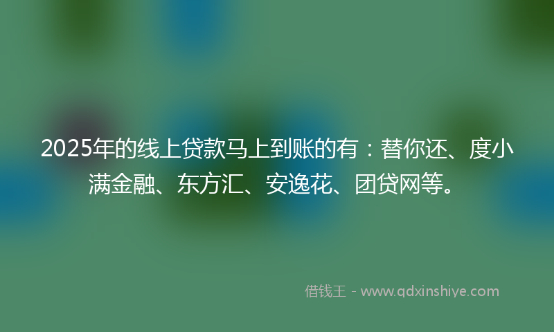 2025年的线上贷款马上到账的有：替你还、度小满金融、东方汇、安逸花、团贷网等。