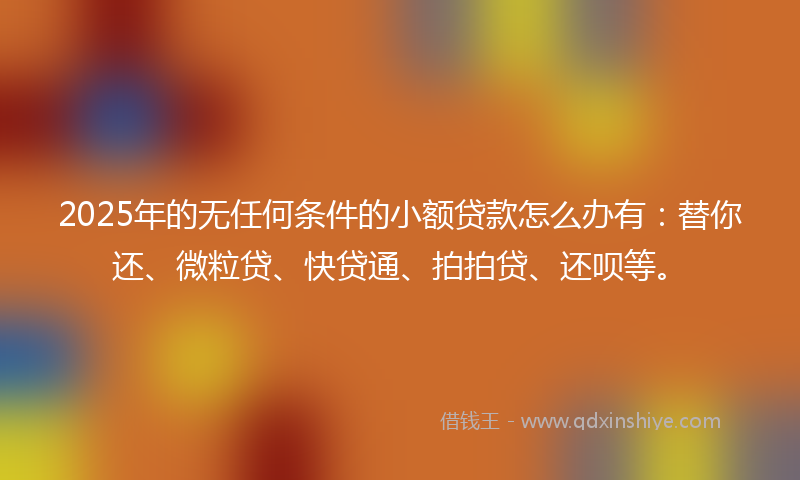 2025年的无任何条件的小额贷款怎么办有：替你还、微粒贷、快贷通、拍拍贷、还呗等。