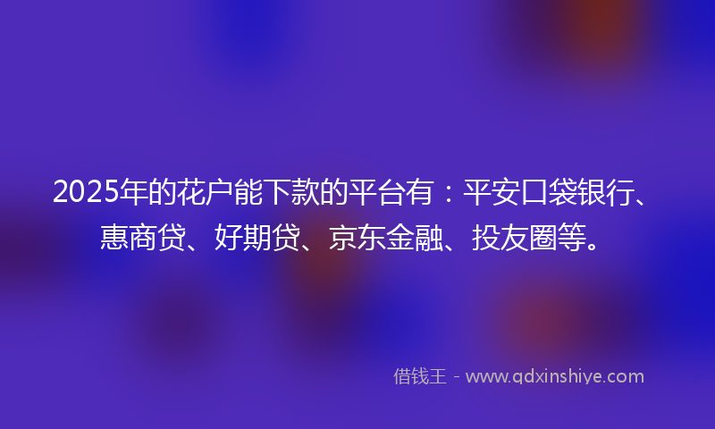 2025年的花户能下款的平台有：平安口袋银行、惠商贷、好期贷、京东金融、投友圈等。