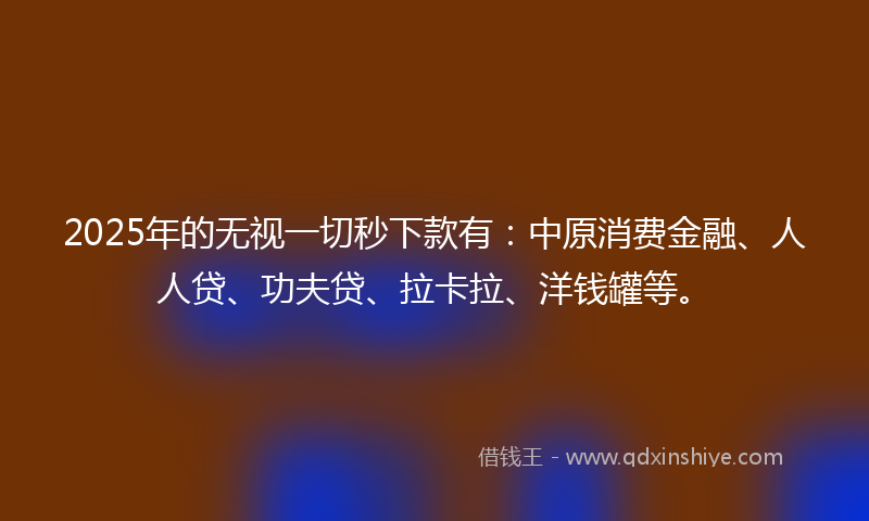2025年的无视一切秒下款有：中原消费金融、人人贷、功夫贷、拉卡拉、洋钱罐等。