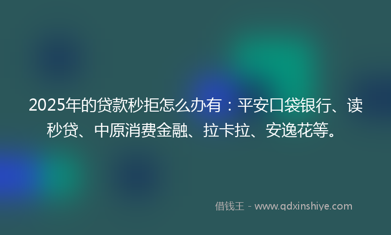 2025年的贷款秒拒怎么办有：平安口袋银行、读秒贷、中原消费金融、拉卡拉、安逸花等。
