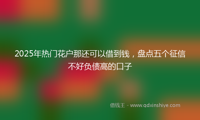 2025年热门花户那还可以借到钱，盘点五个征信不好负债高的口子