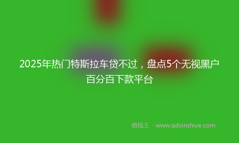 2025年热门特斯拉车贷不过，盘点5个无视黑户百分百下款平台