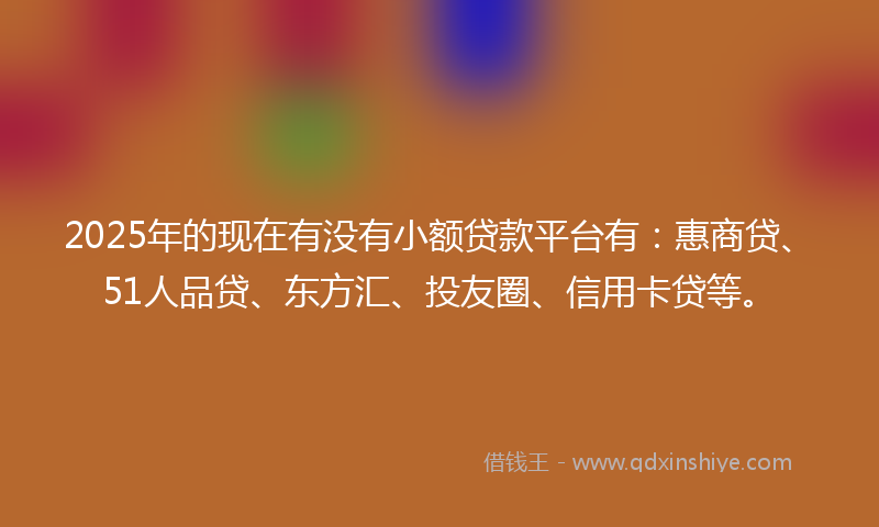 2025年的现在有没有小额贷款平台有：惠商贷、51人品贷、东方汇、投友圈、信用卡贷等。