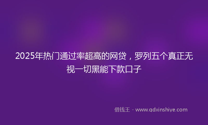 2025年热门通过率超高的网贷，罗列五个真正无视一切黑能下款口子