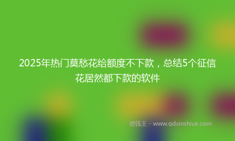 2025年热门莫愁花给额度不下款，总结5个征信花居然都下款的软件