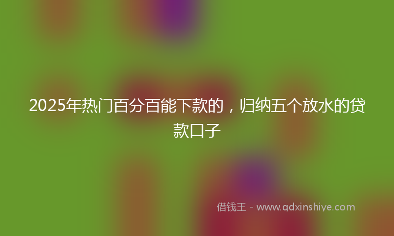 2025年热门百分百能下款的，归纳五个放水的贷款口子