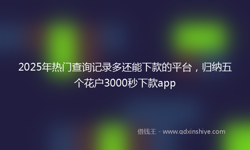 2025年热门查询记录多还能下款的平台，归纳五个花户3000秒下款app