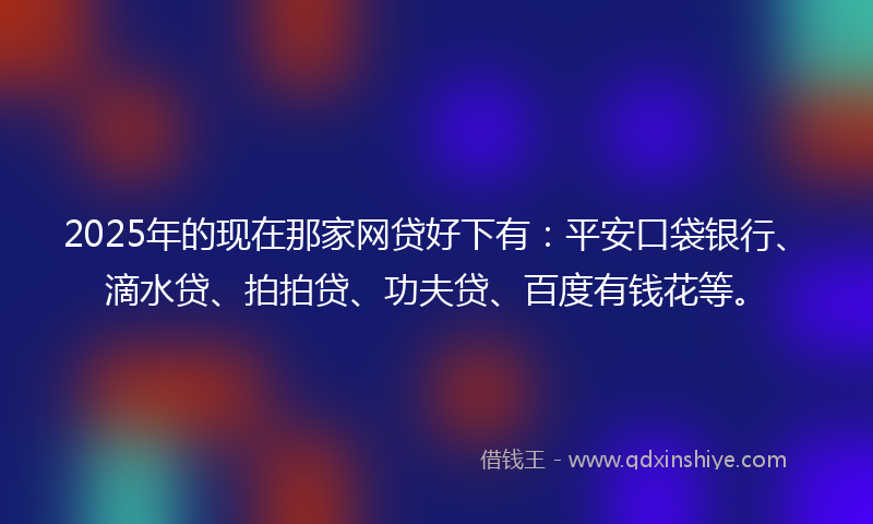 2025年的现在那家网贷好下有：平安口袋银行、滴水贷、拍拍贷、功夫贷、百度有钱花等。