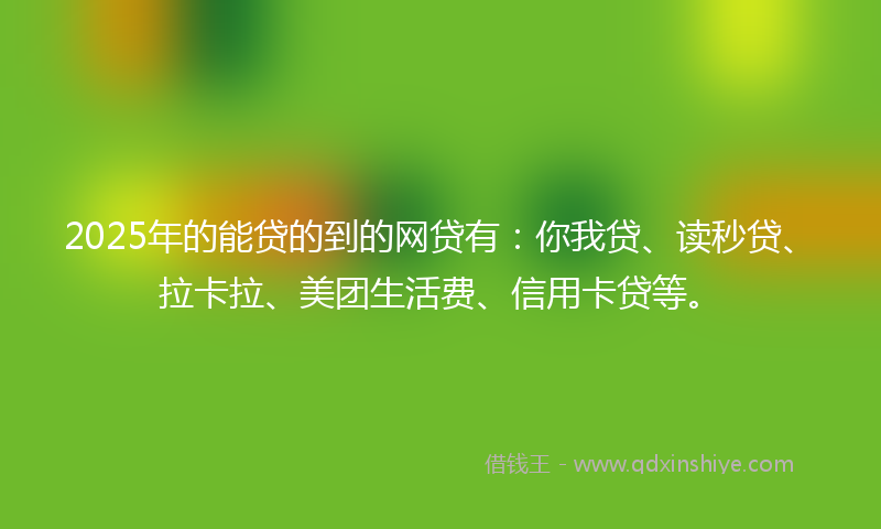 2025年的能贷的到的网贷有：你我贷、读秒贷、拉卡拉、美团生活费、信用卡贷等。