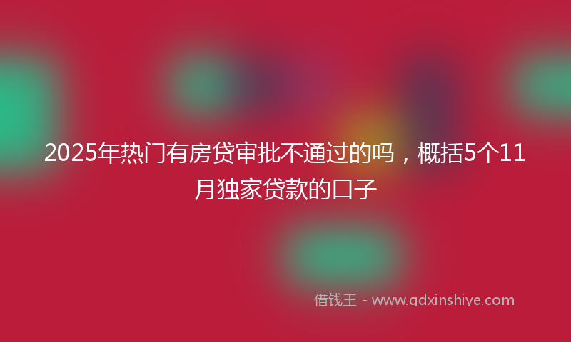 2025年热门有房贷审批不通过的吗，概括5个11月独家贷款的口子