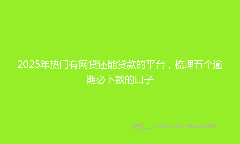 2025年热门有网贷还能贷款的平台，梳理五个逾期必下款的口子