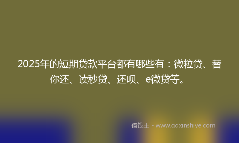 2025年的短期贷款平台都有哪些有：微粒贷、替你还、读秒贷、还呗、e微贷等。