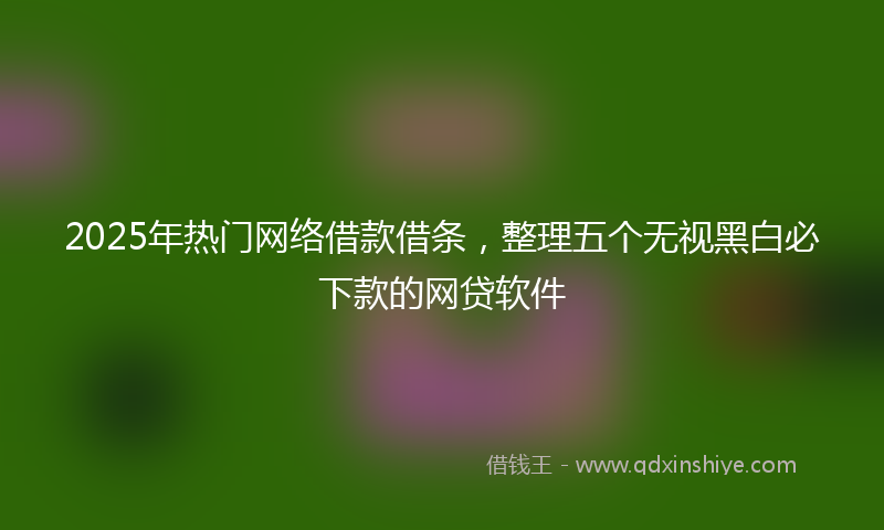 2025年热门网络借款借条，整理五个无视黑白必下款的网贷软件