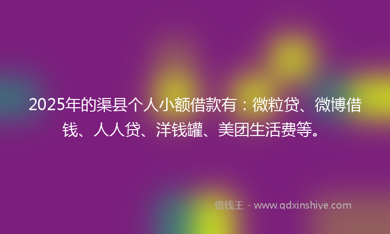 2025年的渠县个人小额借款有：微粒贷、微博借钱、人人贷、洋钱罐、美团生活费等。