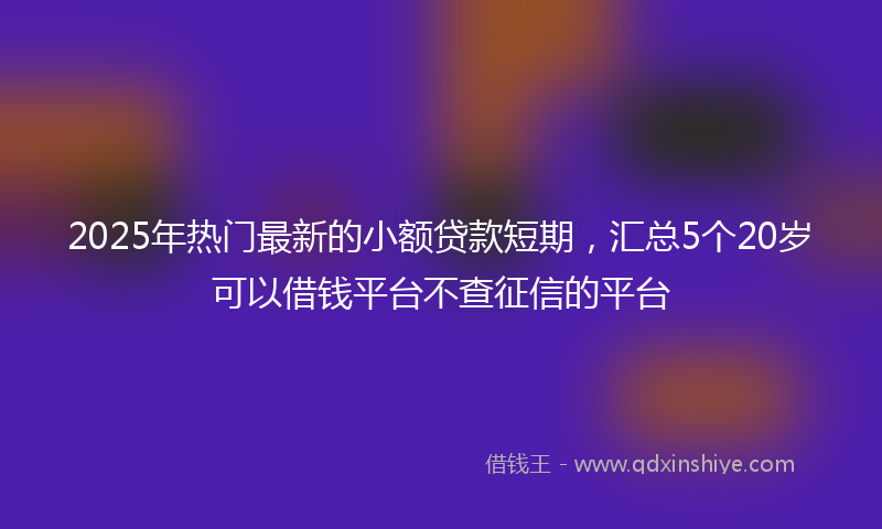 2025年热门最新的小额贷款短期，汇总5个20岁可以借钱平台不查征信的平台