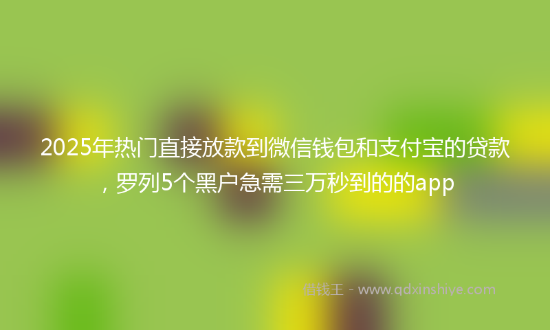 2025年热门直接放款到微信钱包和支付宝的贷款，罗列5个黑户急需三万秒到的的app