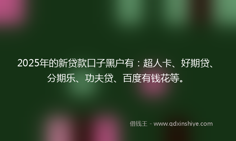 2025年的新贷款口子黑户有：超人卡、好期贷、分期乐、功夫贷、百度有钱花等。