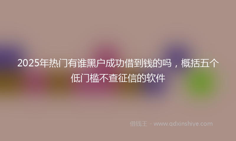 2025年热门有谁黑户成功借到钱的吗，概括五个低门槛不查征信的软件