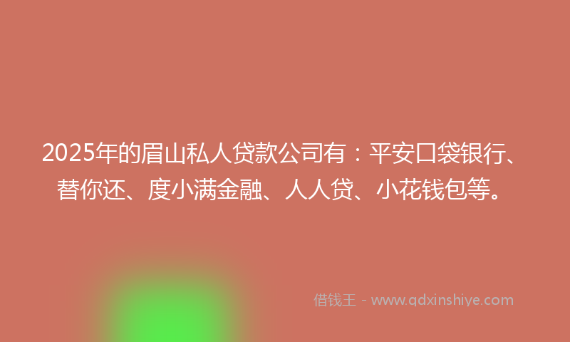 2025年的眉山私人贷款公司有：平安口袋银行、替你还、度小满金融、人人贷、小花钱包等。