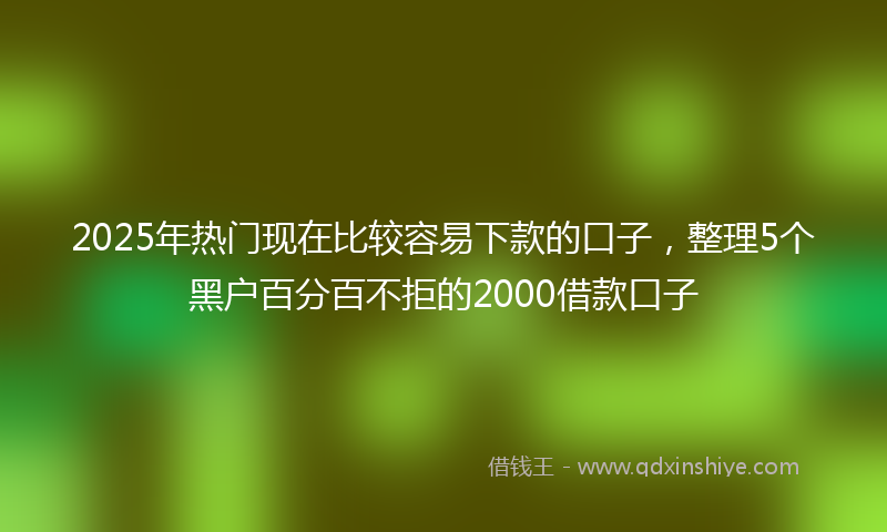 2025年热门现在比较容易下款的口子，整理5个黑户百分百不拒的2000借款口子