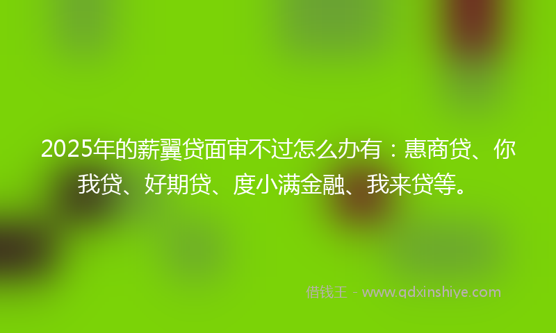 2025年的薪翼贷面审不过怎么办有：惠商贷、你我贷、好期贷、度小满金融、我来贷等。