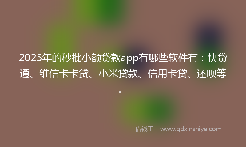 2025年的秒批小额贷款app有哪些软件有：快贷通、维信卡卡贷、小米贷款、信用卡贷、还呗等。