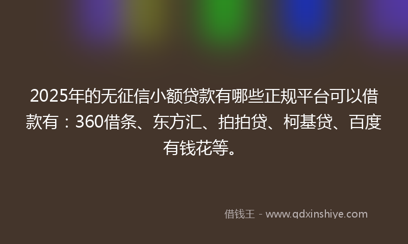 2025年的无征信小额贷款有哪些正规平台可以借款有：360借条、东方汇、拍拍贷、柯基贷、百度有钱花等。